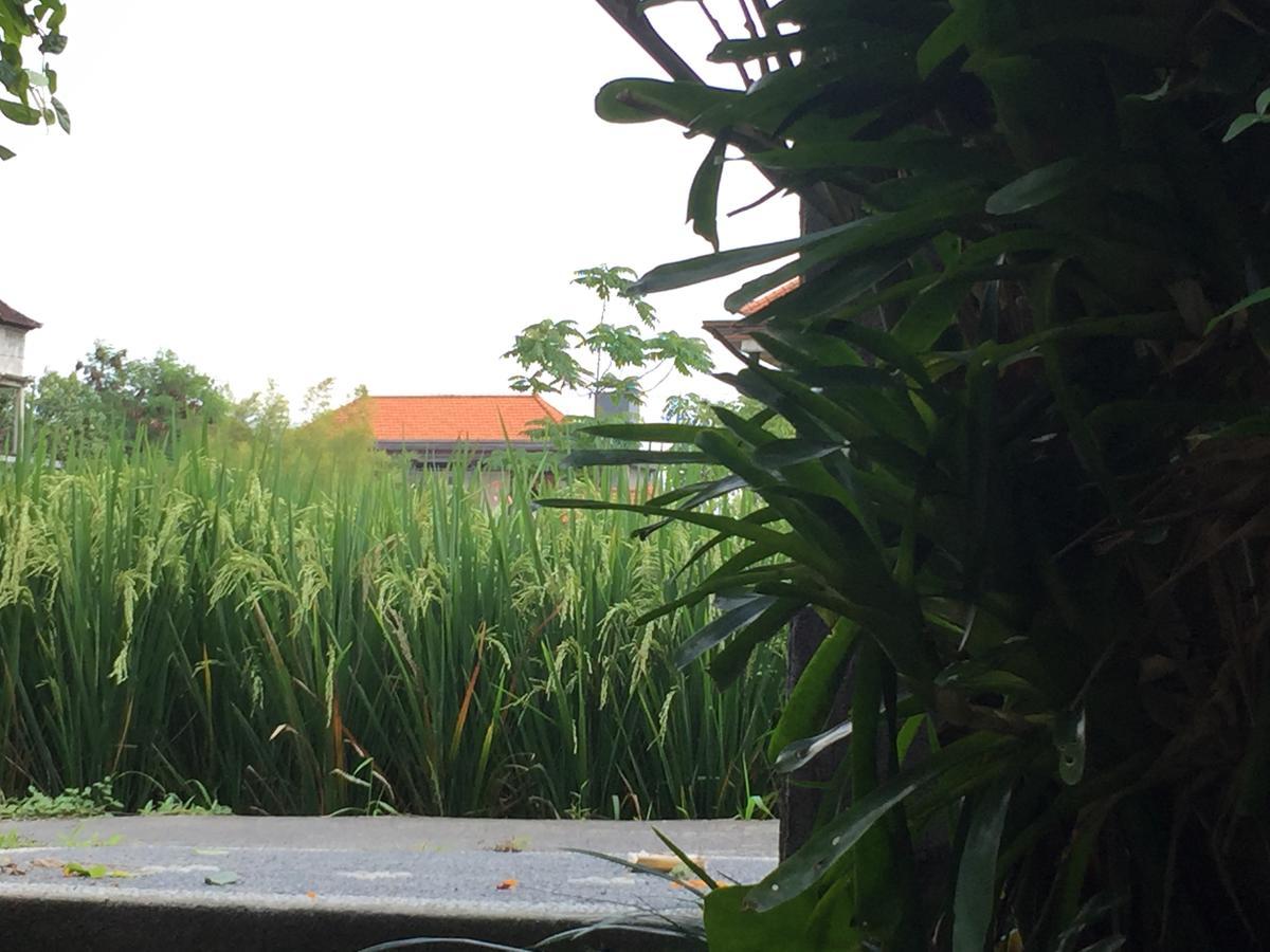 Apartamento Depong House Ubud Exterior foto
